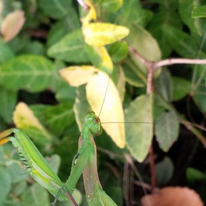 IMG 00000212