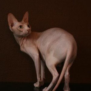 Cherry <3 The grand old lady