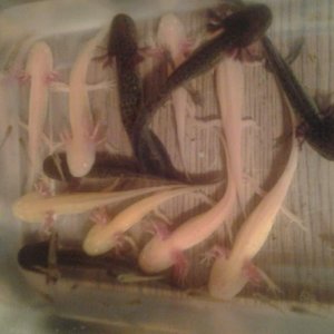 IMG 20130728 154415