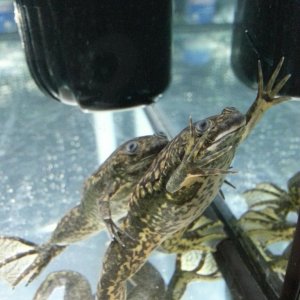 20130129 235942 zpsabe78d10