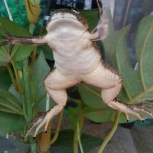 20130604 164843 zps8393b272