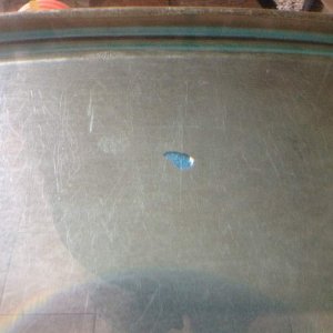 It is either just spreading out (about 20 minutes ater) or getting bigger? No obvious leak atound the edges, it's in the middle of a full sheet of gla