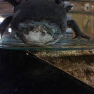 IMG 20130919 084848
