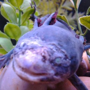 IMG 20130922 125319