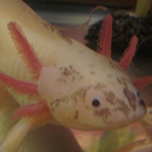 IMG 4560