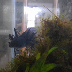 Zasz as a teenager!  How cute.