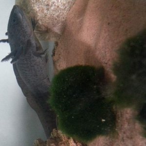 IMG 20130914 162513