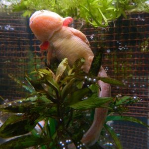 The most hideous view