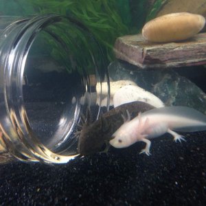 moving on to the jar