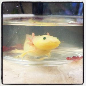 Little Mac is growing!