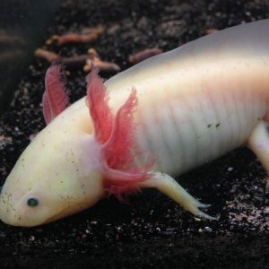 Can you believe this is little Mac?