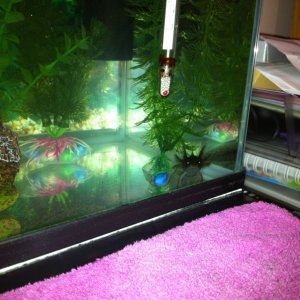 Do you ever get the feeling that you're being watched?