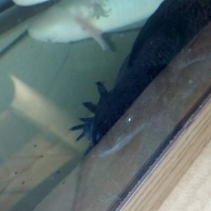 IMG 20131112 133221 154