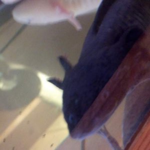 IMG 20131112 133150 348