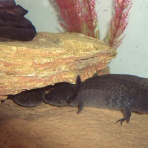 DSC04158