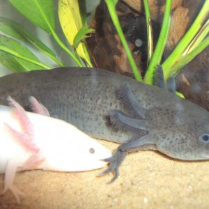 DSC04101