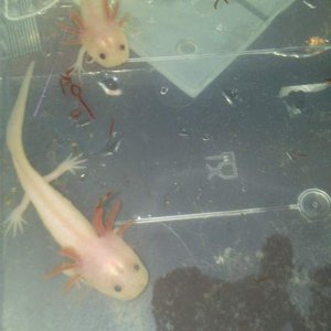 feeding time