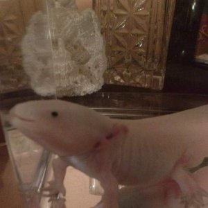 He's smiling