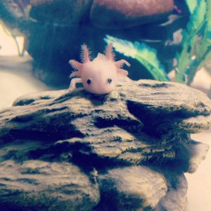 He was so small!
