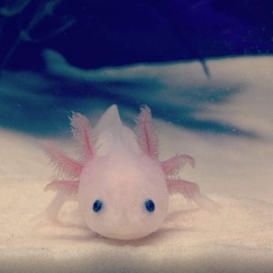 My sweet Randall