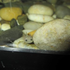 In their new home <3