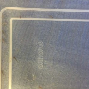 03 13 14 day of hatching (3)