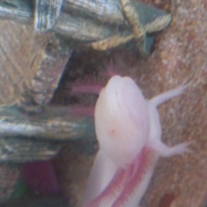 DSC 0965
