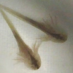 IMG 20140318 180548 403