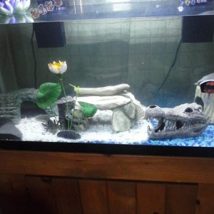 CAM00376