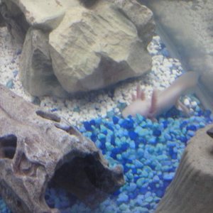 CAM00379
