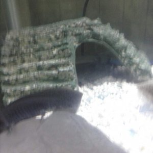 CAM00380