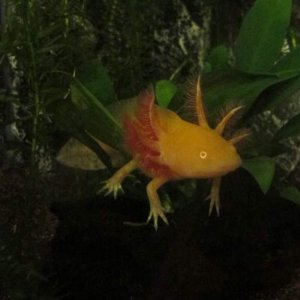 IMG 0157