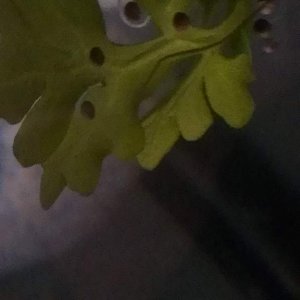 IMAG2805