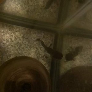 IMAG2824