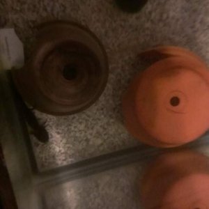 IMAG2820