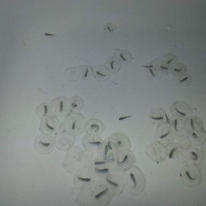 20140409 025921