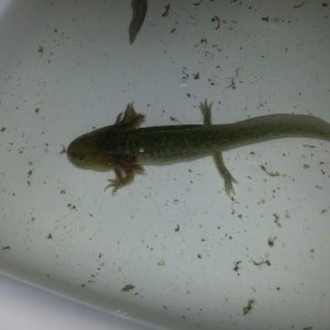 20140409 033644