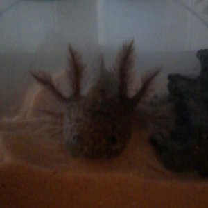 I love hanging out!
