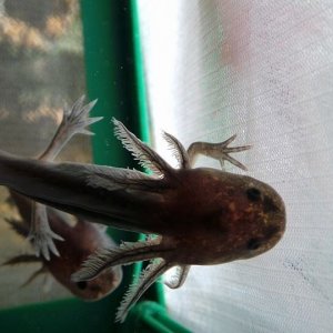 One of the babies
