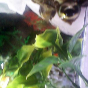 IMG 20140610 143352