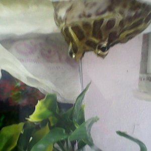 IMG 20140610 143456