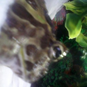 IMG 20140610 143401