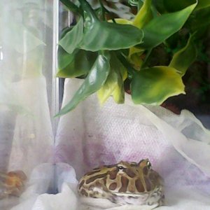 IMG 20140610 173120