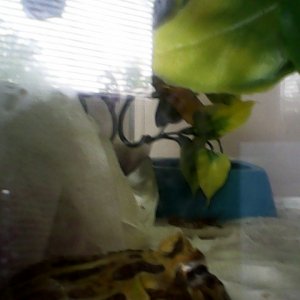 IMG 20140610 173154
