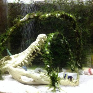 IMG 0257