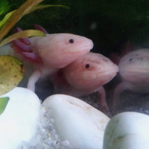 We're watching you!