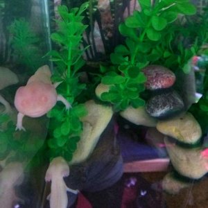 When I first got them!