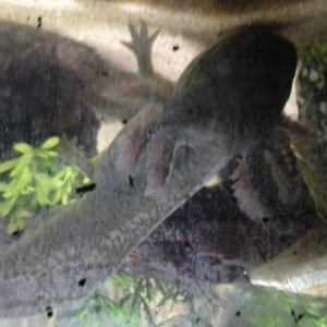 20140623 183429
