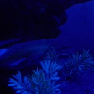 20140623 185551