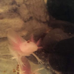IMAG0282